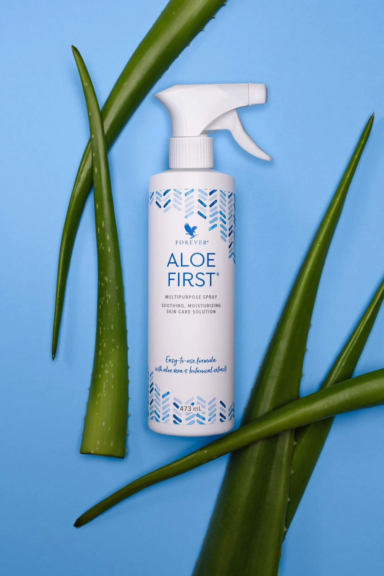 Aloe First – Bild 3